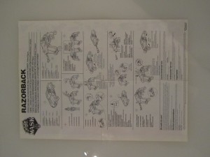 Razorback Notice 1